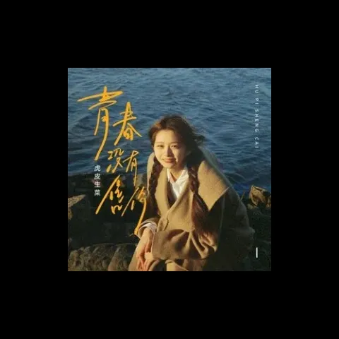 青春没有售价歌词 - 是可乐鸭/虎皮生菜