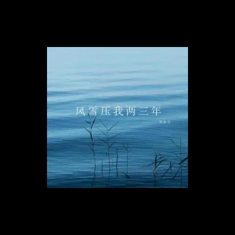 风雪压我两三年 歌词 - 发如雪
