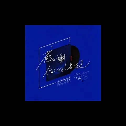 感谢你的出现 歌词 - 空城