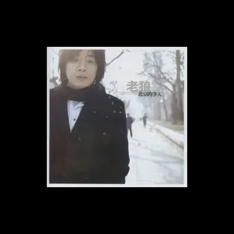 想把我唱给你听 歌词 - 老狼