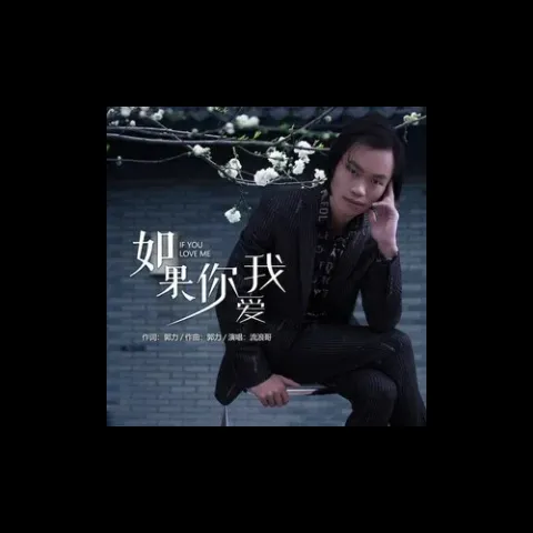 如果你爱我 歌词 - 流浪哥