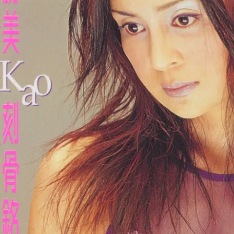 相见恨晚 歌词 - 高胜美