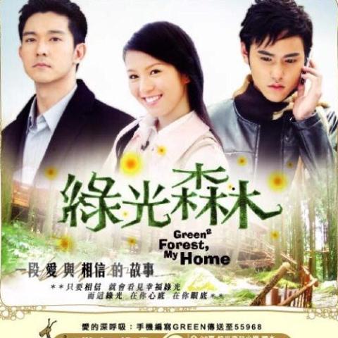无法开口 歌词 - 苏永康 电视剧《绿光森林》片尾曲