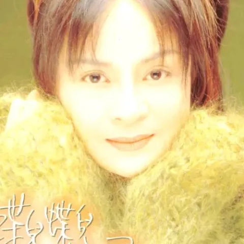 蝶儿蝶儿满天飞 歌手：高胜美 电视剧《黄飞鸿与十三姨》主题曲