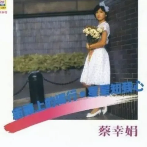 星星知我心 歌词 - 蔡幸娟