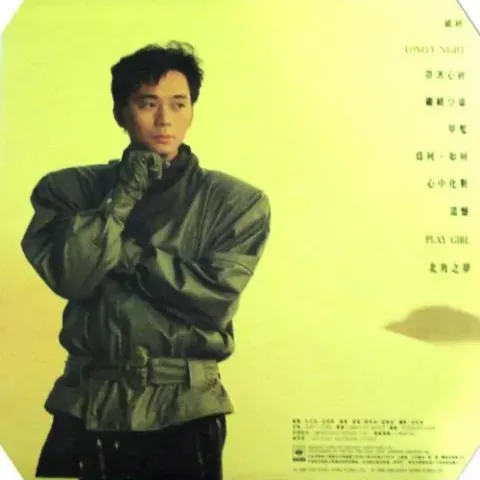 倩影 歌词 - 蔡枫华