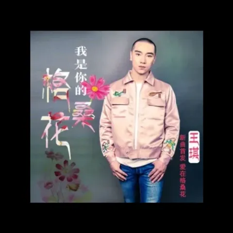 我是你的格桑花 歌词 - 欣宝儿/王琪