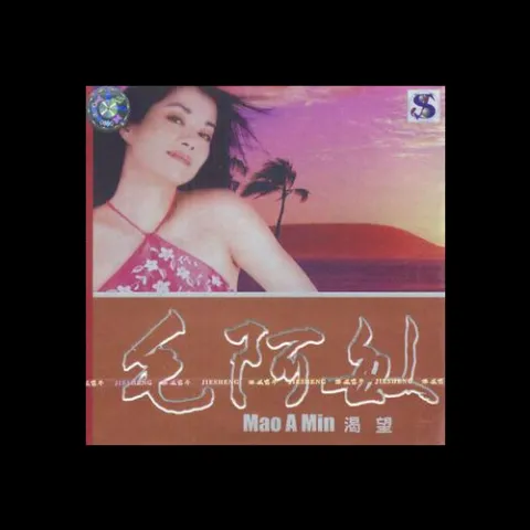 渴望 歌词 - 毛阿敏 电视剧《渴望》主题曲