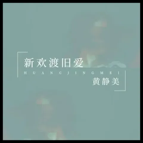 新欢渡旧爱 歌词 - 黄静美