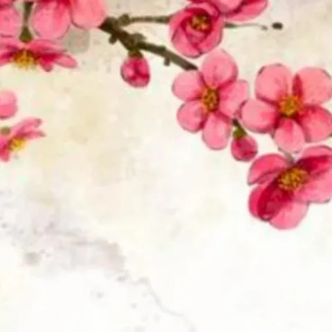 桃花诺 歌词 - 东皇落笙