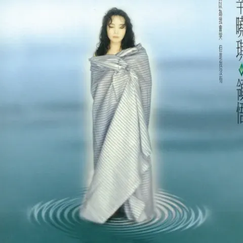 俩俩相忘 歌词 - 辛晓琪