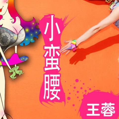 小蛮腰 歌词 - 王蓉