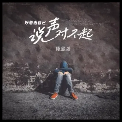  好想跟自己说声对不起 歌词 - 婷儿