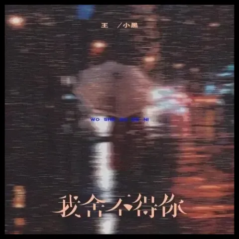 我舍不得你 歌词 - 黄静美