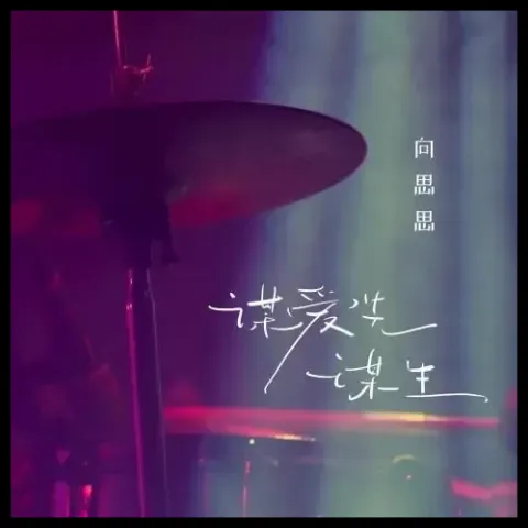  谋爱先谋生 歌词 - 向思思