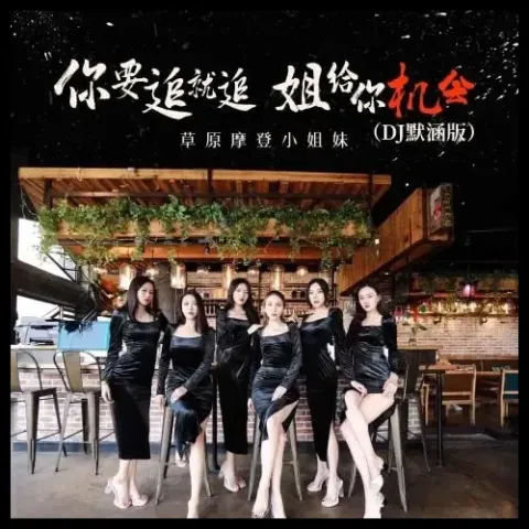 你要追就追姐给你机会 歌词 - 草原摩登小姐妹