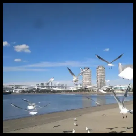 两两相望 歌词 - 梁磊