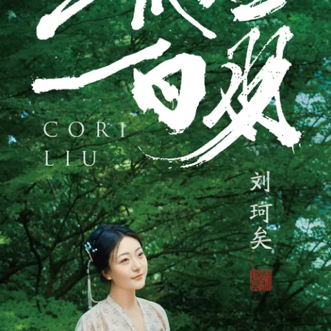 流星白羽 歌词 - 刘珂矣