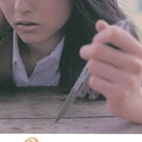 星语心愿 歌词 - 张柏芝 /任贤齐 电影《星愿》插曲