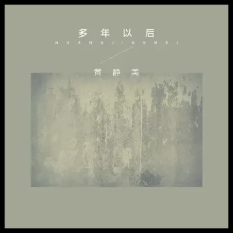 多年以后 歌词 - 黄静美