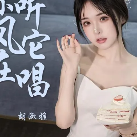 你听风它在唱歌 歌词 - 胡淑雅