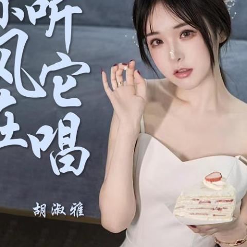 你听风它在唱歌 歌词 - 胡淑雅