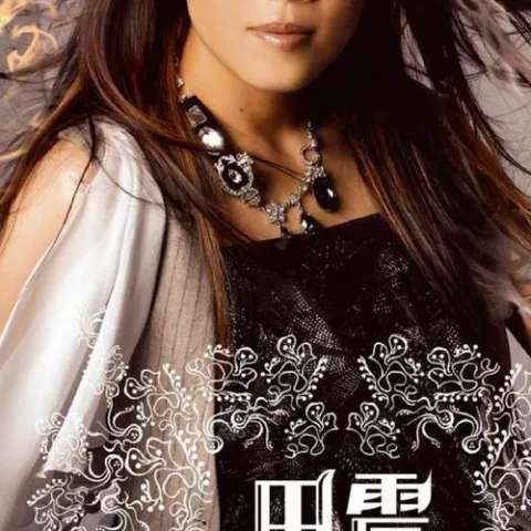 尽在不言中 歌词 - 田震