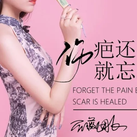 伤疤还没好就忘了疼 歌词 - 蔷薇团长