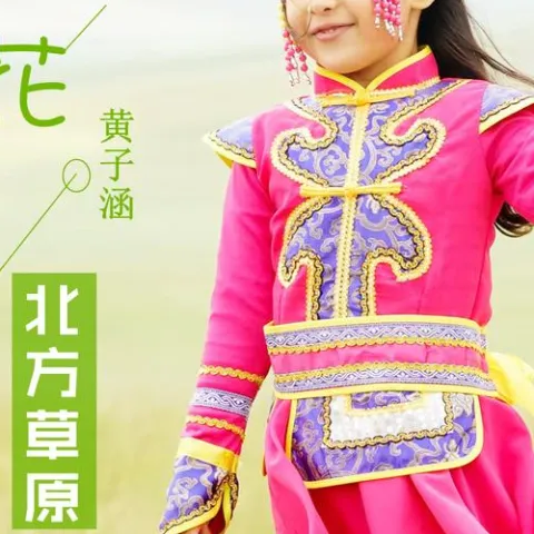 花开的北方草原 歌词 - 黄子涵(美美)