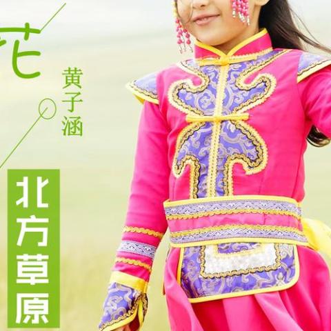 花开的北方草原 歌词 - 黄子涵(美美)