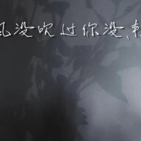 就当风没吹过你没来过 歌词 - 盛喆/夜星辰