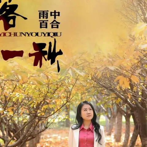 花落一春又一秋 歌词 - 雨中百合