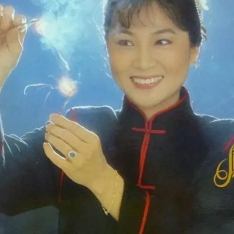 爱你在心口难开 歌词 - 凤飞飞