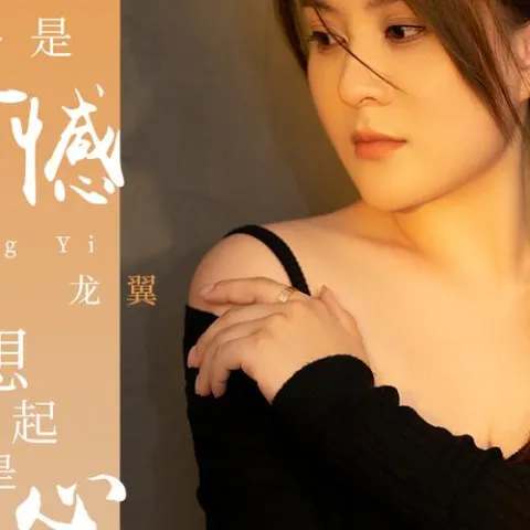 提起是遗憾 想起是心酸 歌词 - 龙翼