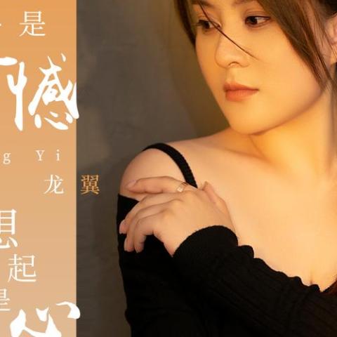 提起是遗憾 想起是心酸 歌词 - 龙翼