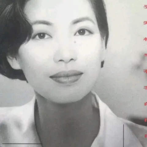 迟来的人 歌词 - 蔡琴