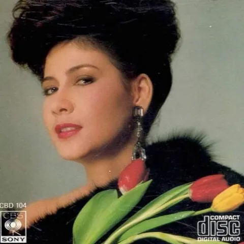 为你而歌 歌词 - 甄妮