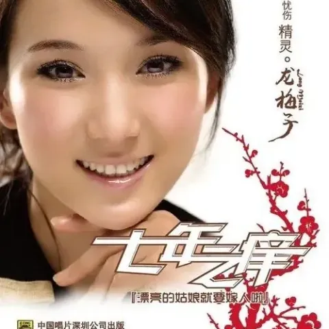 光彩第二街 歌词 - 龙梅子