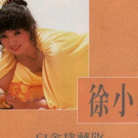 漫漫前路 歌词 - 徐小凤