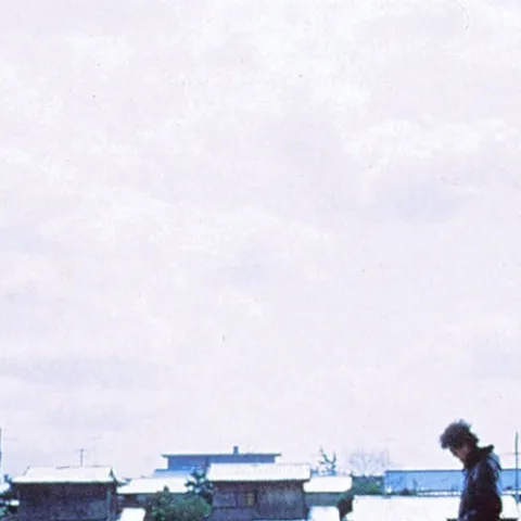 穿过你的黑发的我的手 歌词 - 罗大佑