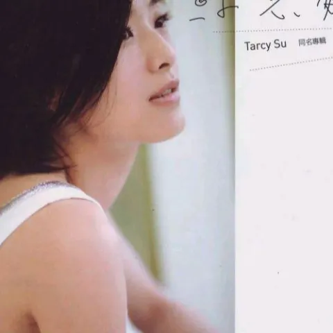 不想想太多  歌词 - 苏慧伦