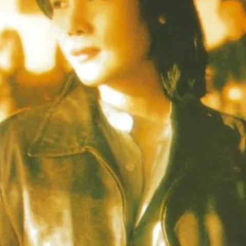 野花 歌词 - 田震