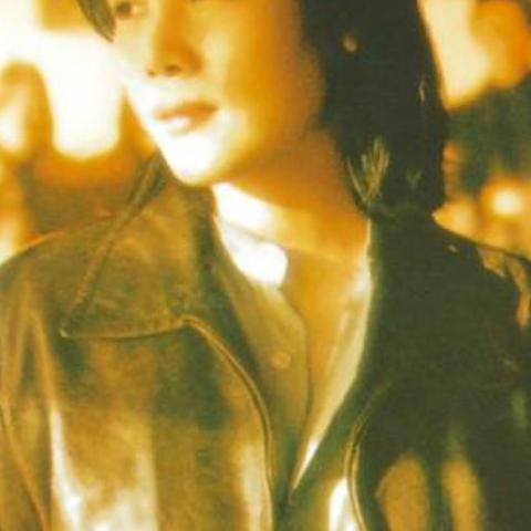 野花 歌词 - 田震