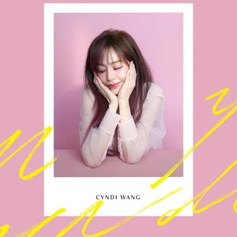 第一次爱的人 歌词 - 王心凌