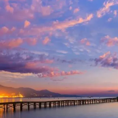 李大爷-花僮 歌词 - 花僮