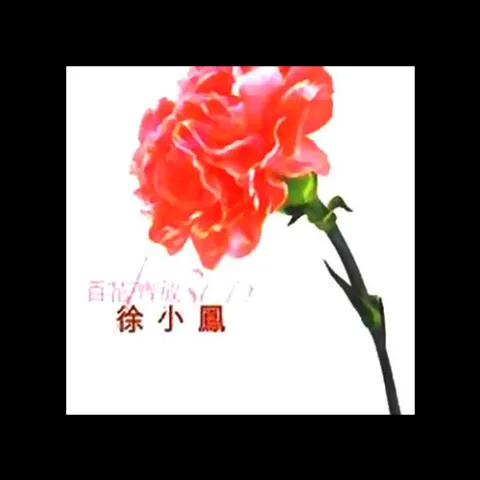 何日君再来 歌词 - 徐小凤/邓丽君