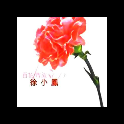 何日君再来 歌词 - 徐小凤/邓丽君