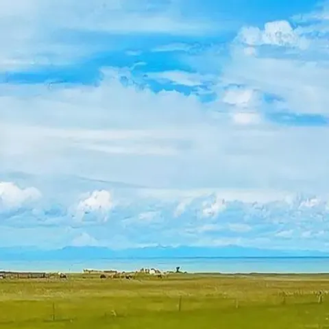 刺心 歌词 - 常艾非