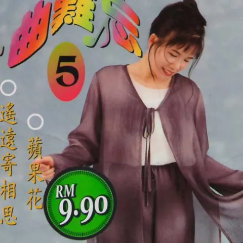 春风吻上我的脸 歌词 - 韩宝仪