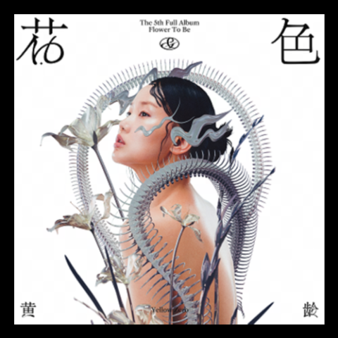 小雨 歌词 - 黄龄